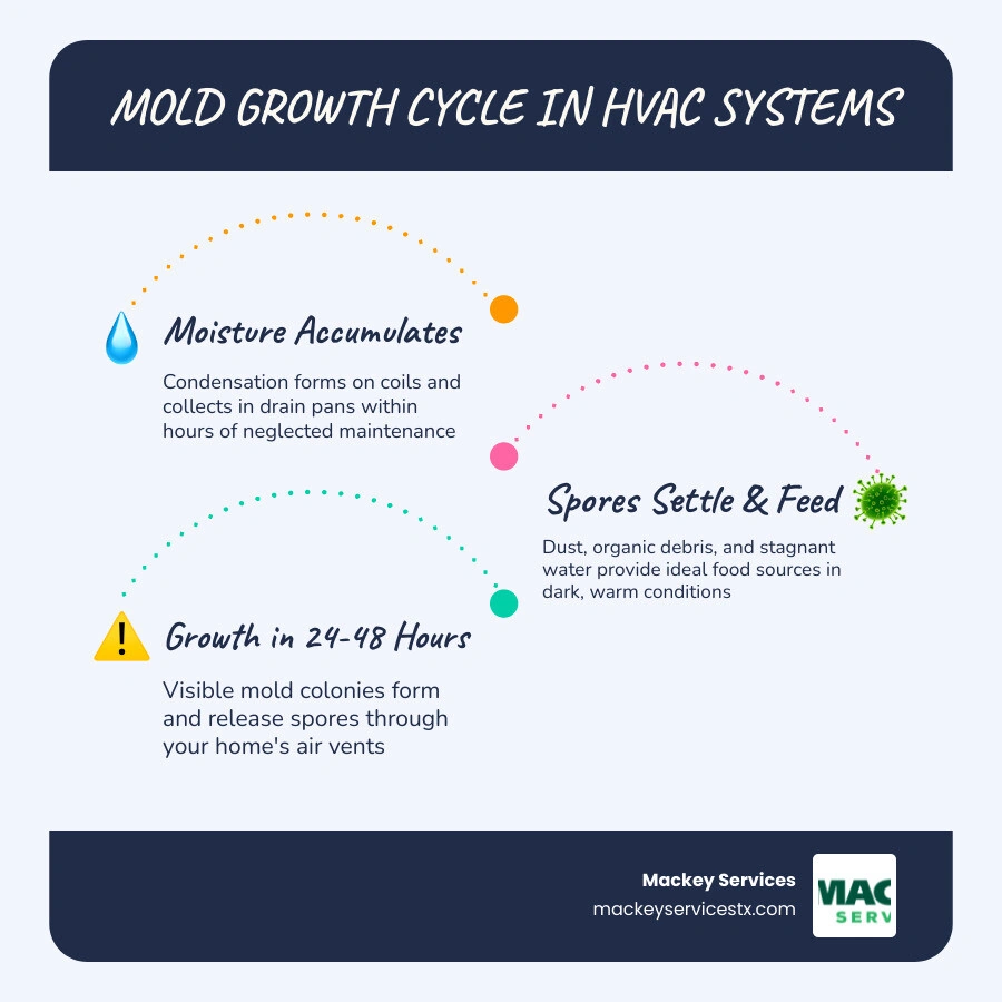 Infographic showing the 24-48 hour mold growth cycle in damp HVAC environments and key prevention steps infographic