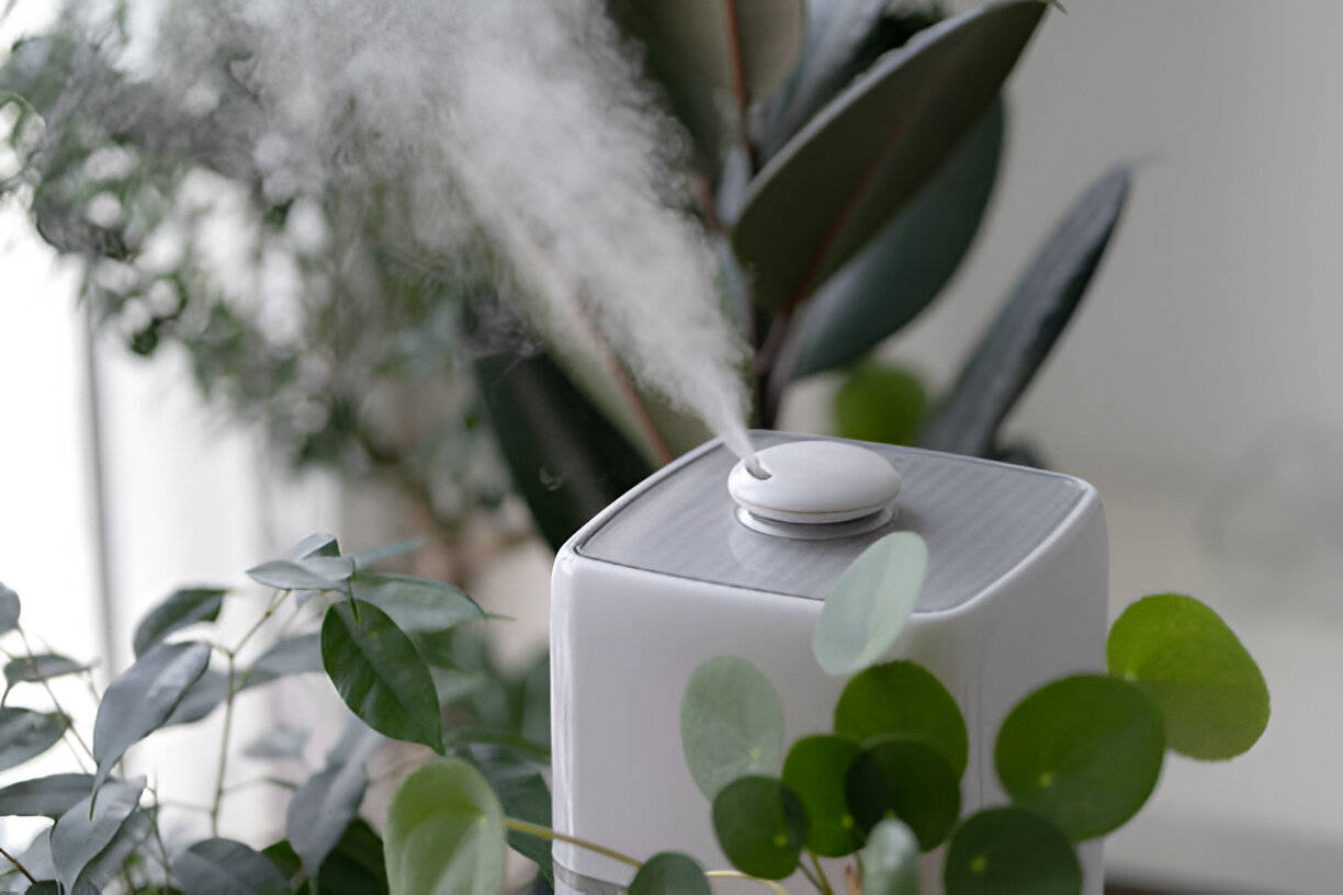 What Are The Common Indoor Air Pollutants?