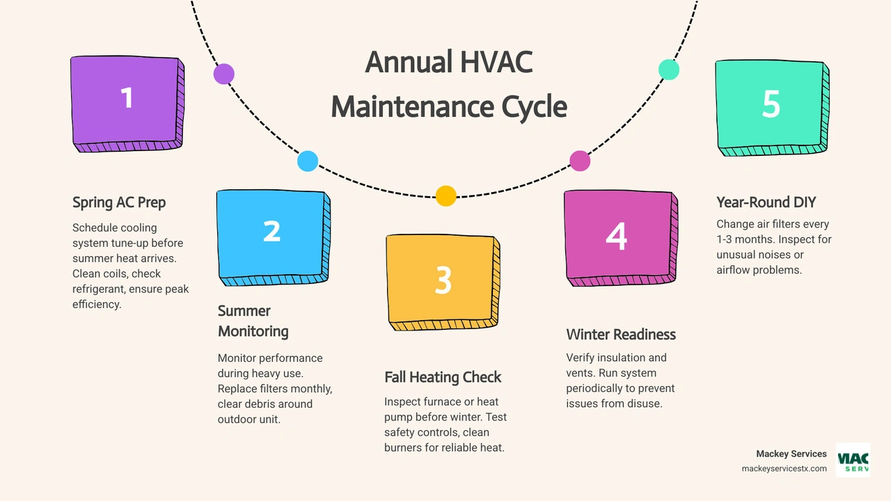Annual HVAC maintenance cycle infographic showing spring AC tune-up and fall heating tune-up schedule - how often should you Annual HVAC maintenance cycle infographic showing spring AC tune-up and fall heating tune-up schedule - how often should you