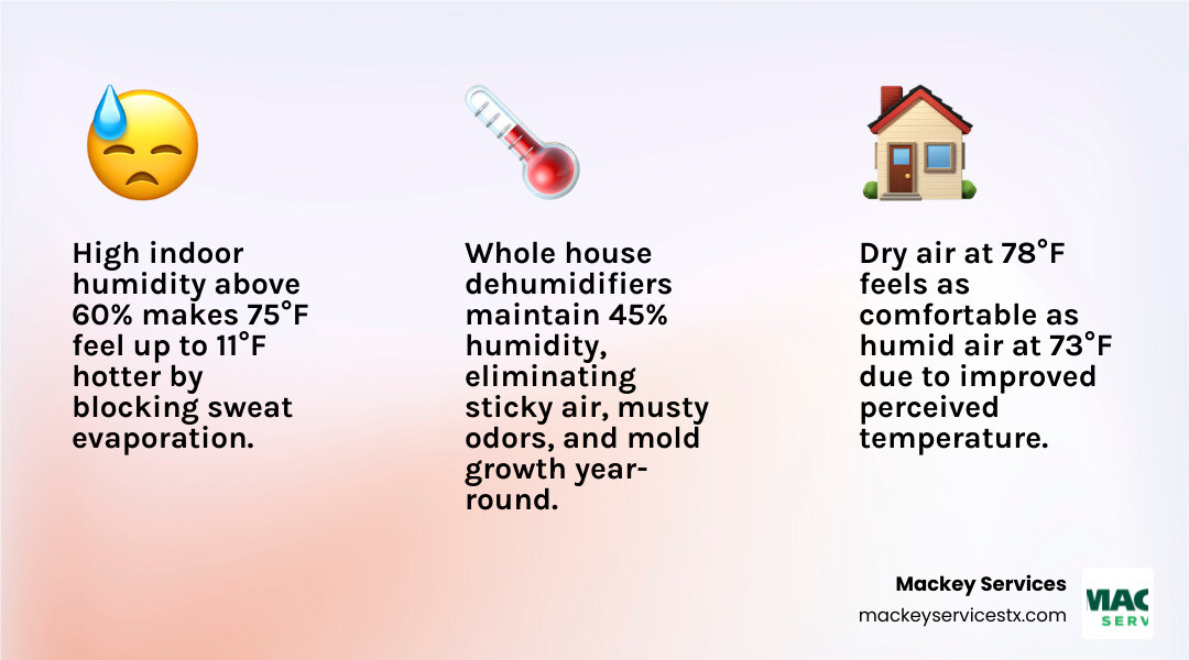 Infographic showing how whole house dehumidification improves indoor comfort, air quality, and energy efficiency - how whole