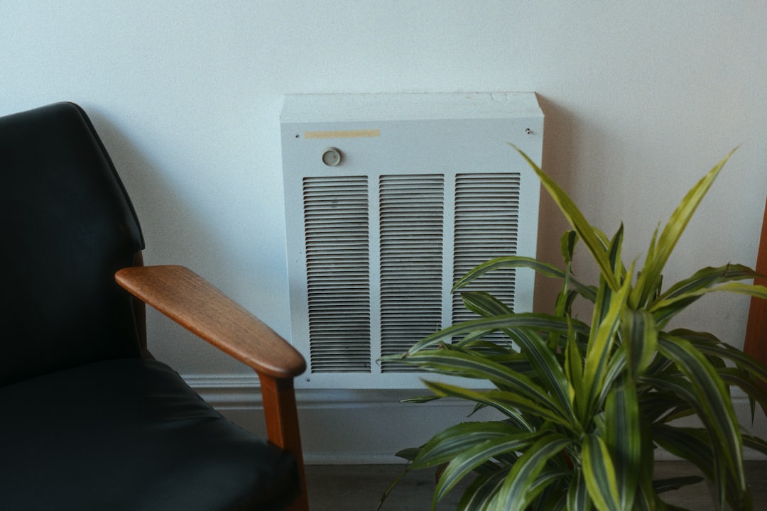 Air Purifiers vs Dehumidifiers for Mold Prevention